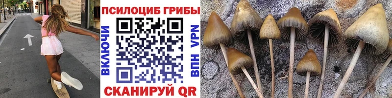 Псилоцибиновые грибы GOLDEN TEACHER Пермь